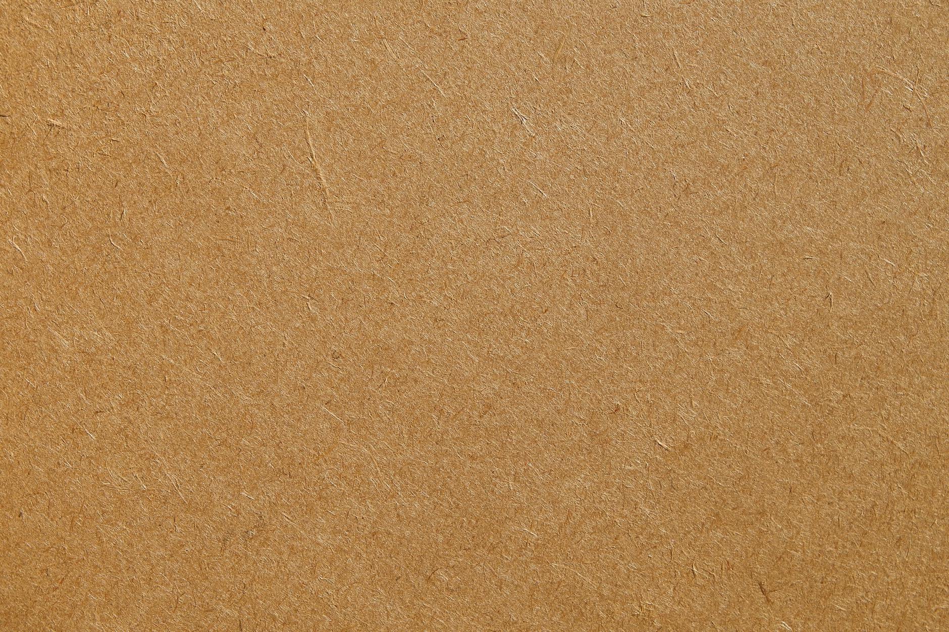 Artur Kamiński wraca do klatki. Gala DWM w Świdwinie